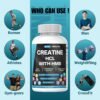 BOIC Creatine HCL + HMB Capsules | 410mg HMB per Serving & 1250mg Creatine Hydrochloride | Performance Formula & Ultra-Pure Strength | No Bloating, Highly Soluble – 120 Capsules